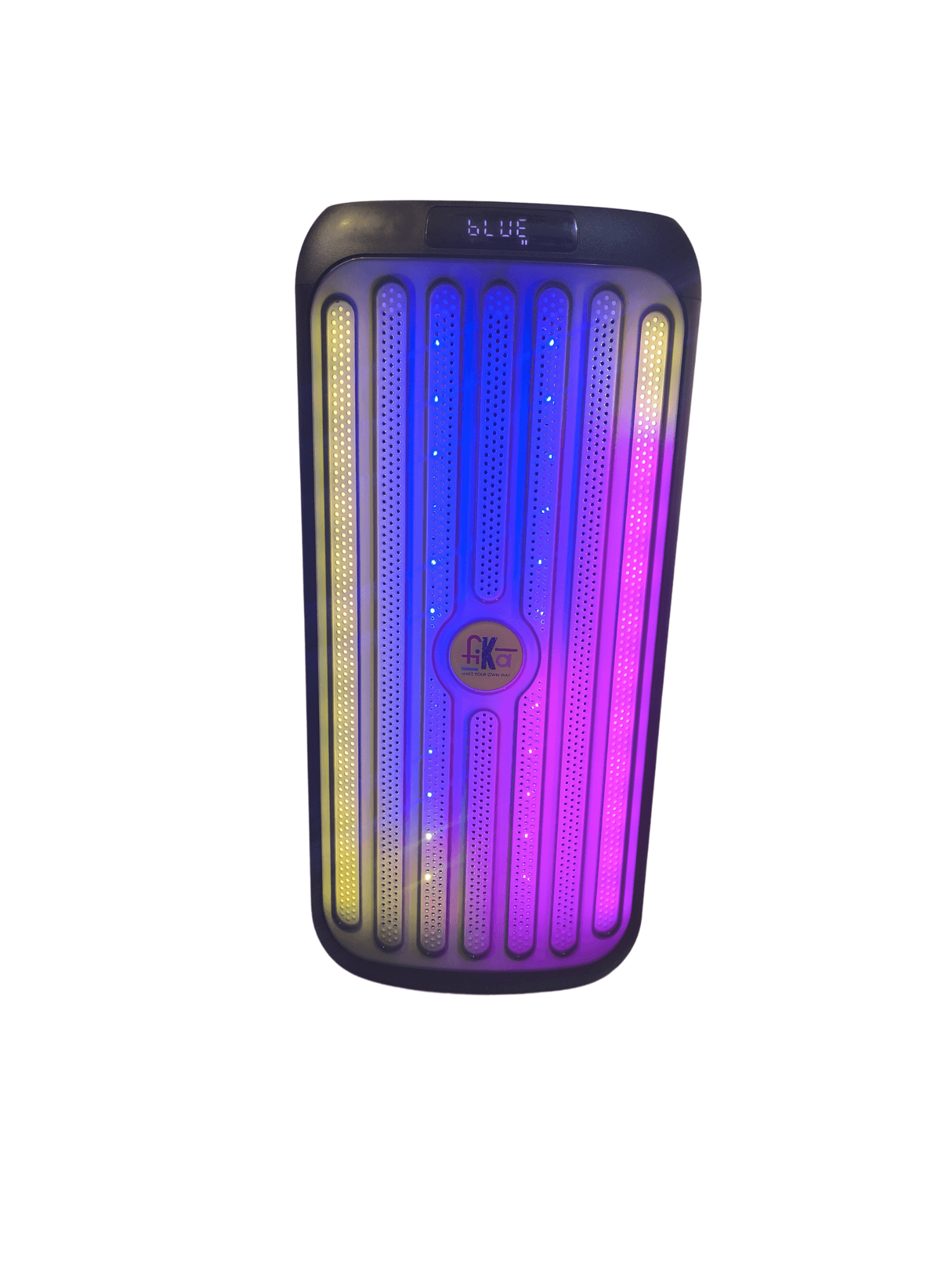 Fika Party Speaker | 60W Bluetooth Trolley Speaker with Dual 8 Speakers | Wireless Mic, LED Lights, USB, AUX, SD Card, Guitar & Mic Ports | Rechargeable & Portable - Gallery Image 5